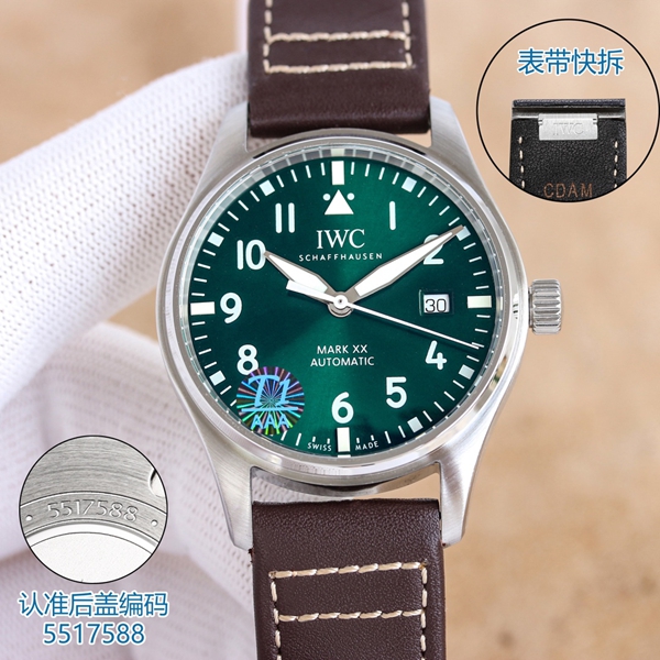 アイ・ダブリュー・シー背面デザイン